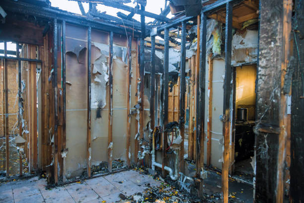 Professional Fire Damage Repair technician working in Granger, IA
